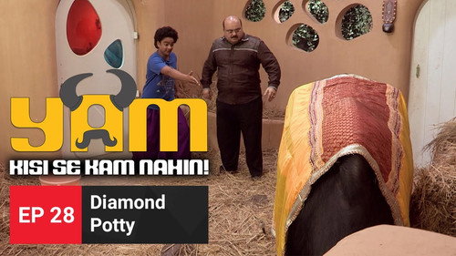 Diamond Potty