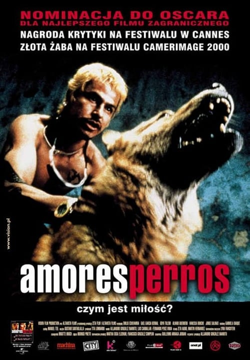 Amores perros cały film