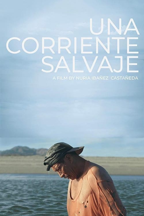 Una Corriente Salvaje poster