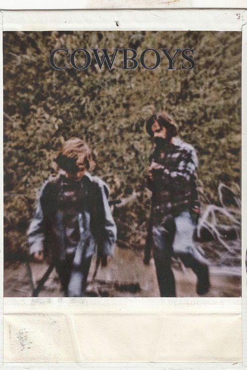 Cowboys poster