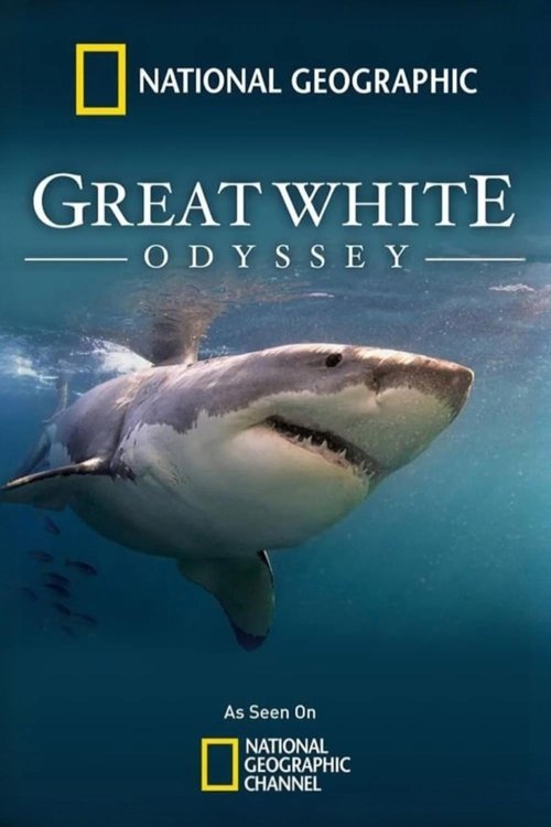 Great White Odyssey cover