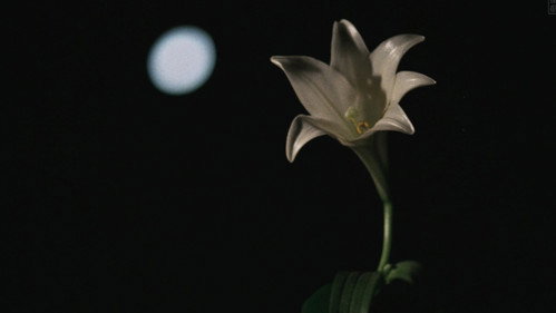 Image du film