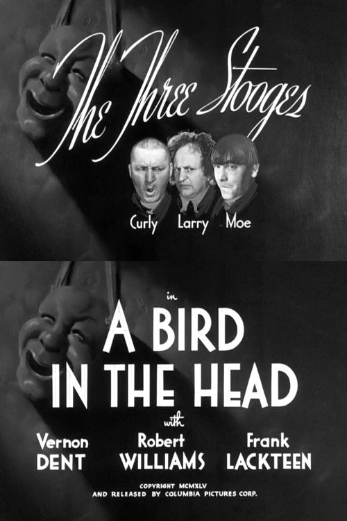 A Bird in the Head