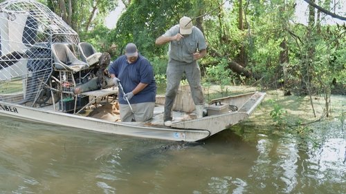 Poster della serie Swamp People