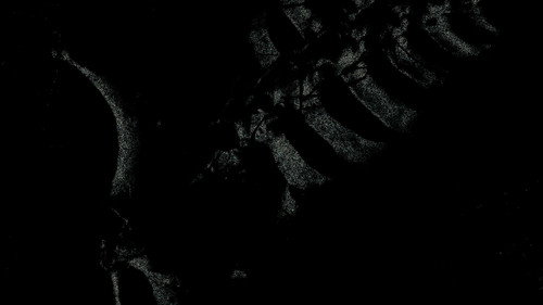 REFLECTION.mp4 — Fondos 9