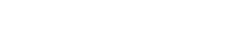 The Other