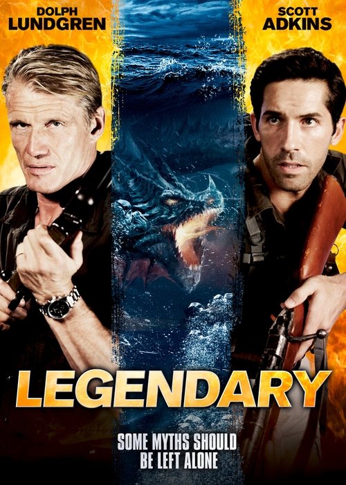 Poster 5