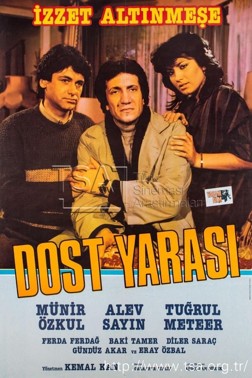 Dost Yarası