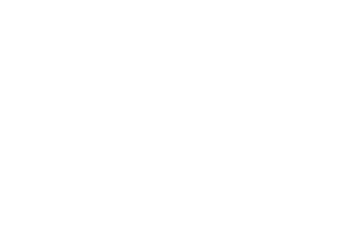 Liza: A Truly Terrific Absolutely True Story