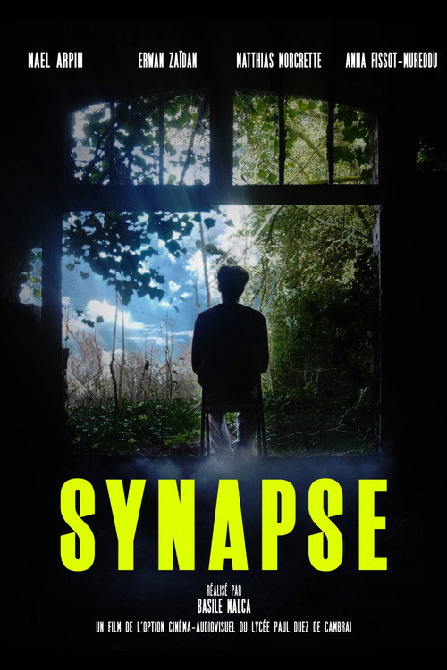 Synapse poster