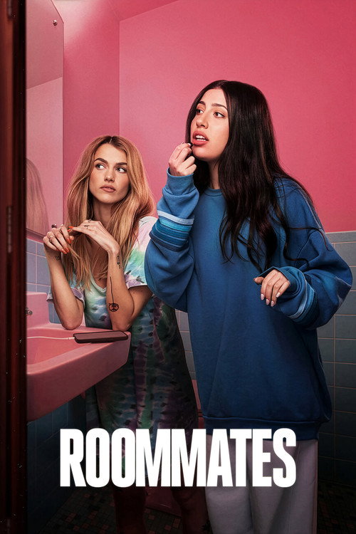Roommates poster