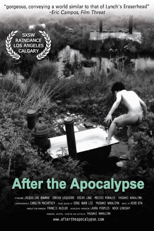 Poster for After the Apocalypse