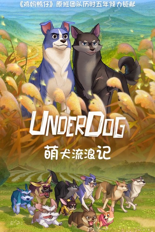 萌犬流浪记