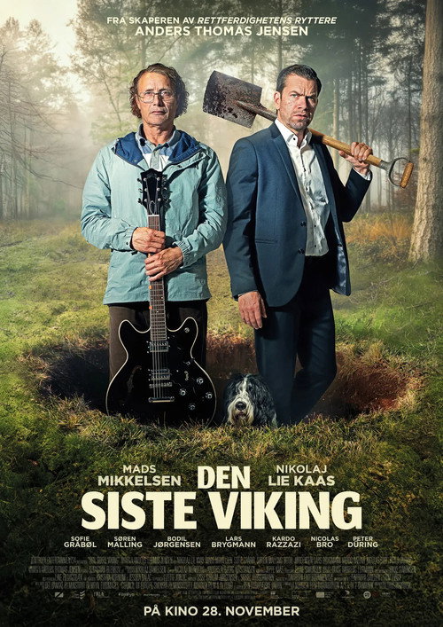 The Last Viking poster