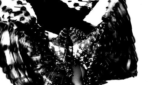 Butterfly Backdrop Blur