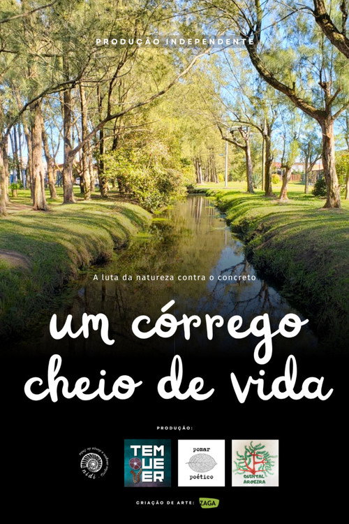 Um Córrego Cheio de Vida