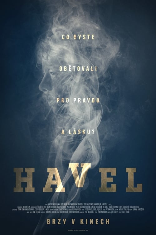 Havel (2020) poster