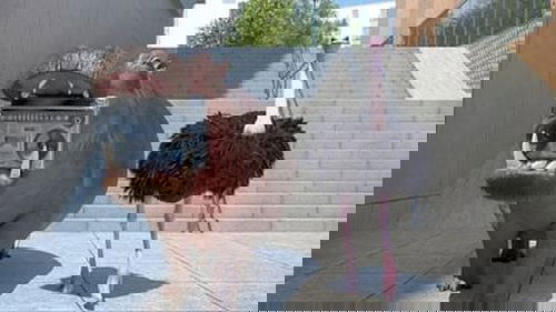 Image de l'épisode 4