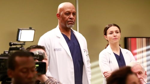 Grey's Anatomy - Season 13 - Episode 21: Don't Stop Me Now