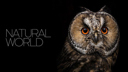 Natural World