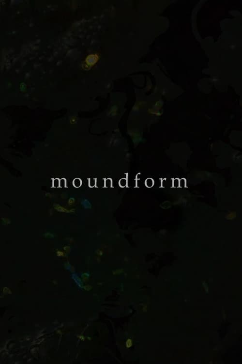 Moundform 2020