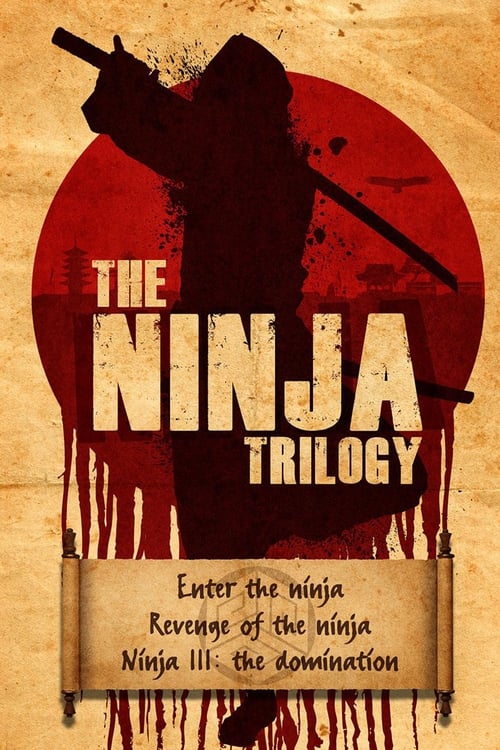 Ninja Filmreihe Poster
