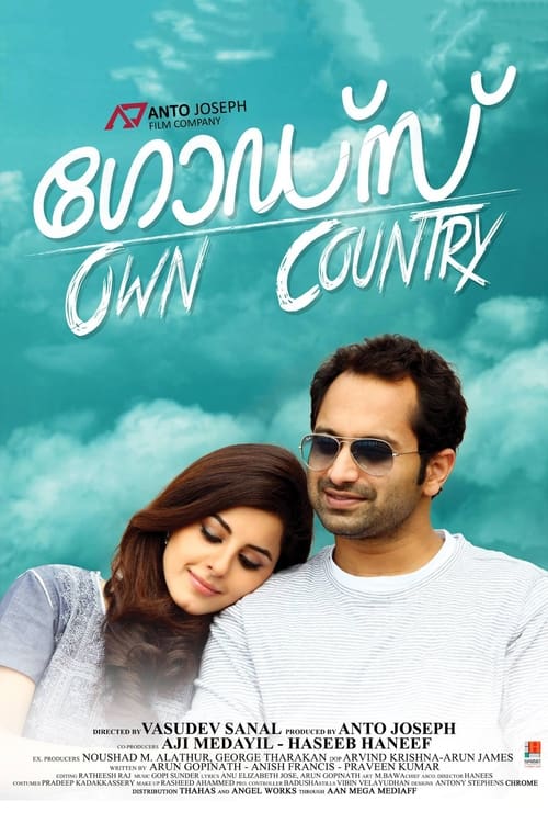 Poster ഗോഡ്സ് Own Country 2014