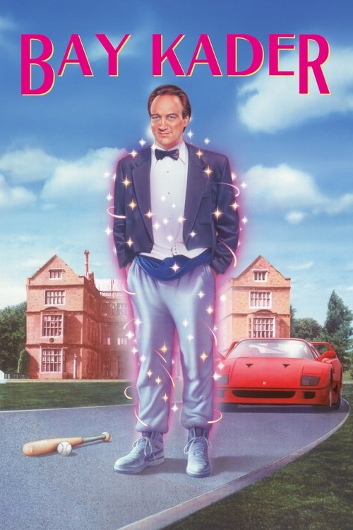 Mr. Destiny (1990)