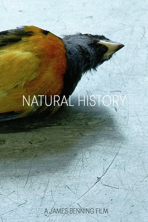 Natural History 2014