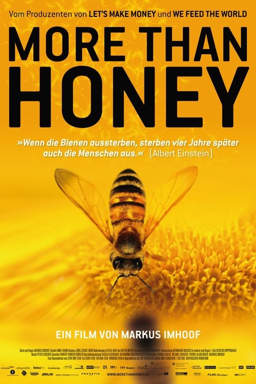 More Than Honey (2012) poster