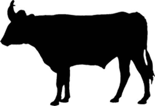 Logo Beef and Sage Productions