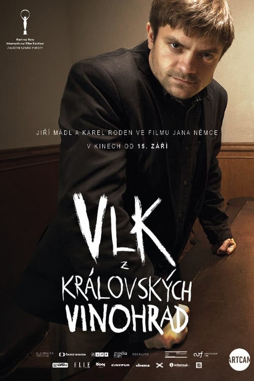 Vlk z královských Vinohrad 2016