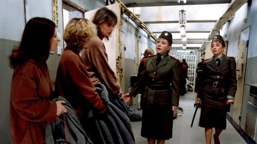 Image de l'épisode 4