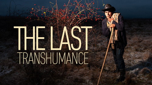 The Last Transhumance