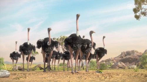 Épisode 11