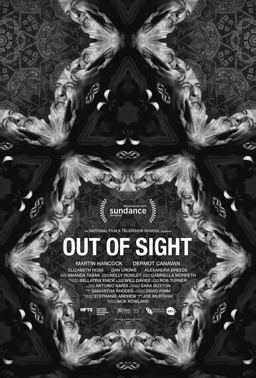 Out of Sight (2015)