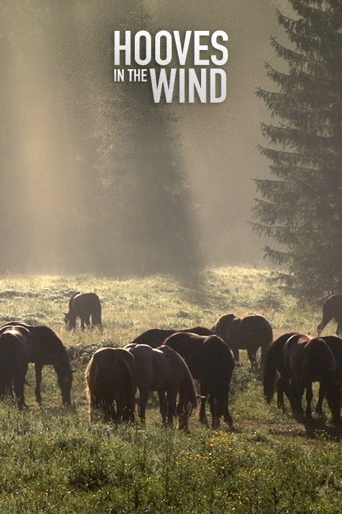 Hooves in the Wind