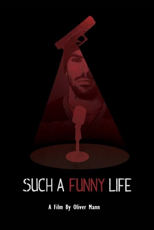 Poster do filme Such a Funny Life