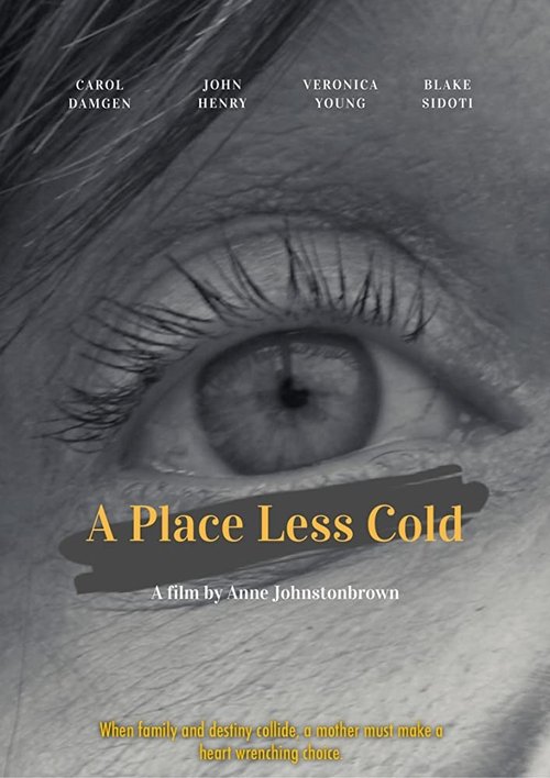 A Place Less Cold movie poster player