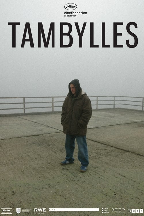 Poster Tambylles 2012