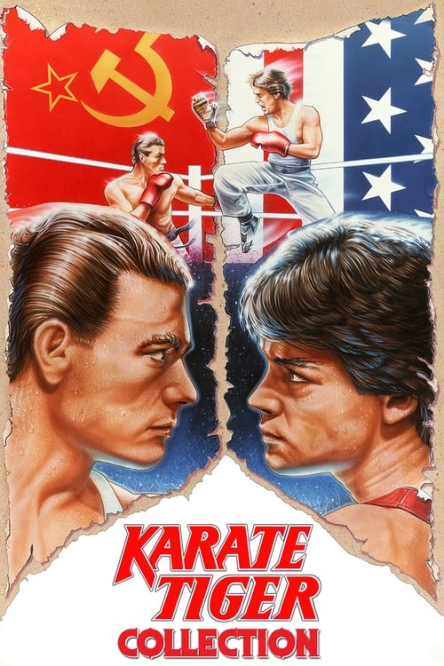 Karate Tiger Filmreihe Poster