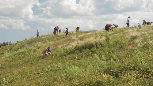 Voices from the Barrens