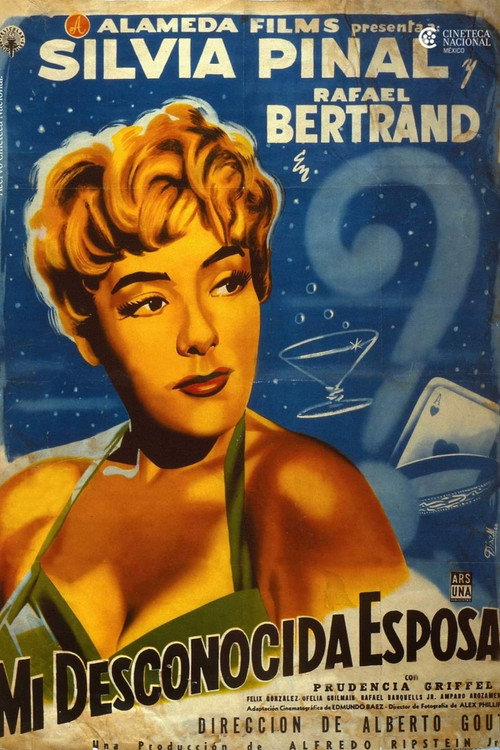 Mi desconocida esposa poster