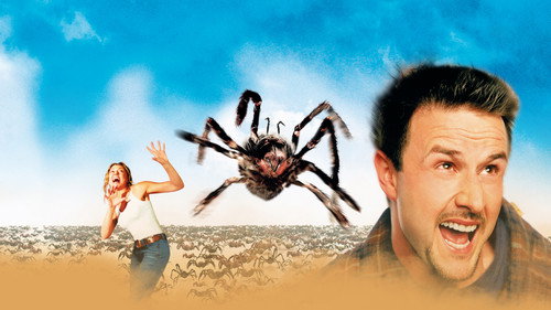 Image du film