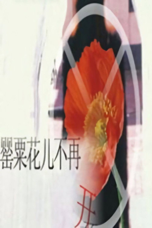 罂粟花儿不再开