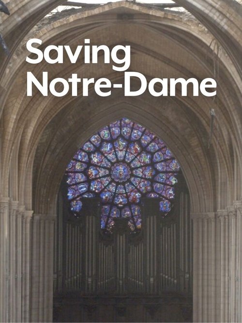 Saving Notre-Dame 2020