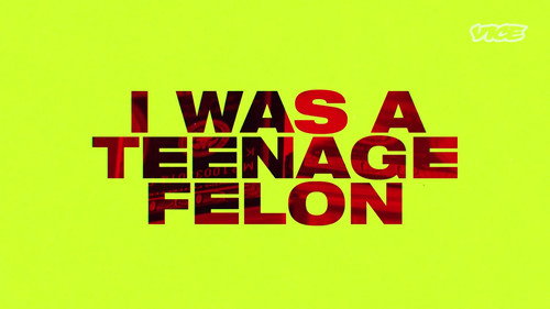 I Was a Teenage Felon Bild 3