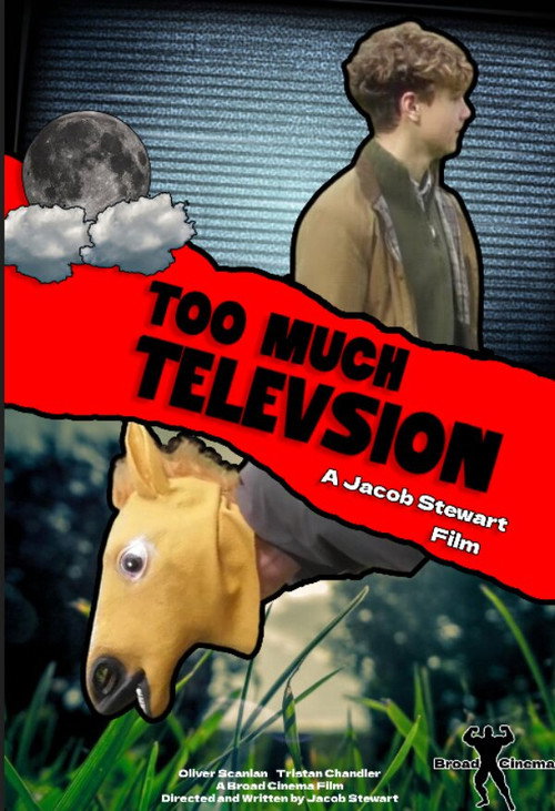 Too Much Television
