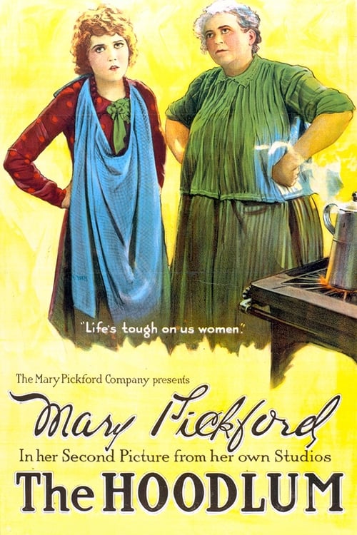 The Hoodlum (1919) poster