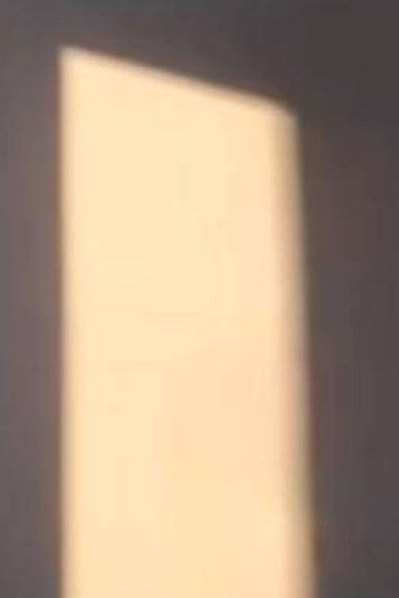 Movie title: le temps détruit nous